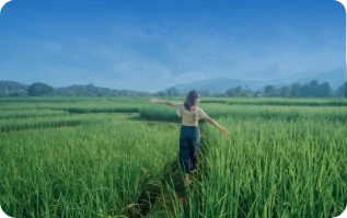 วีดีโอ